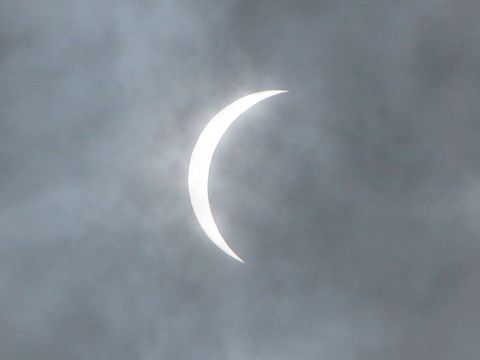 s090722_shoku04.jpg