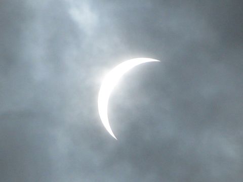 s090722_shoku06.jpg