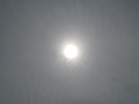 s090722_shoku08.jpg