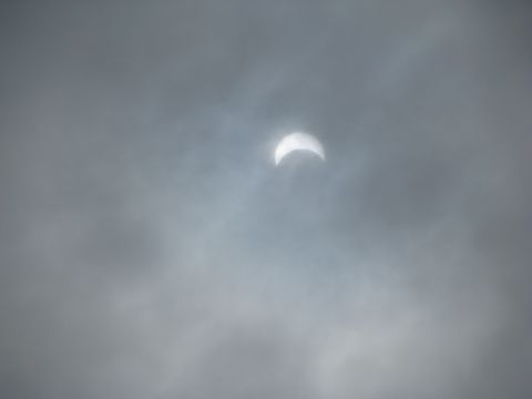 s090722_shoku09.jpg